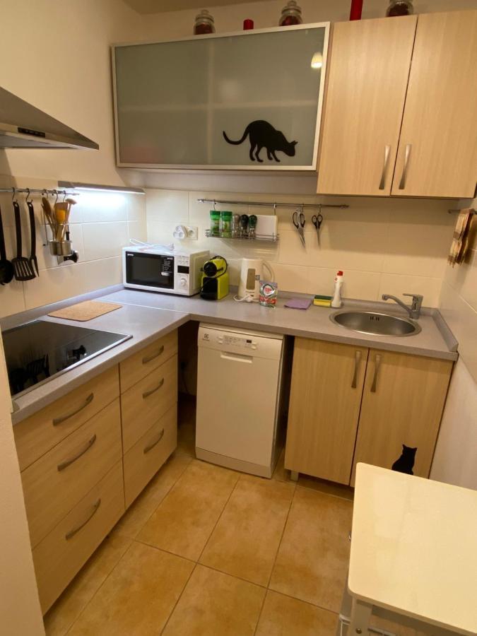 Apartments Piknik Tatranská Lomnica المظهر الخارجي الصورة